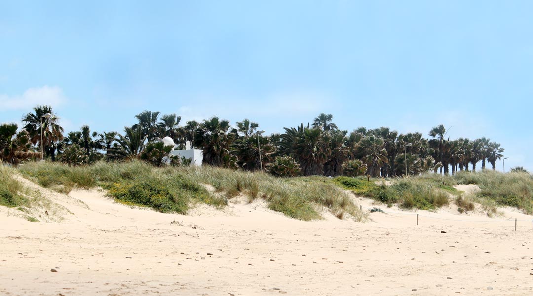 Guía Completa: Cómo Prepararte para tu Primer Surfcamp en El Palmar