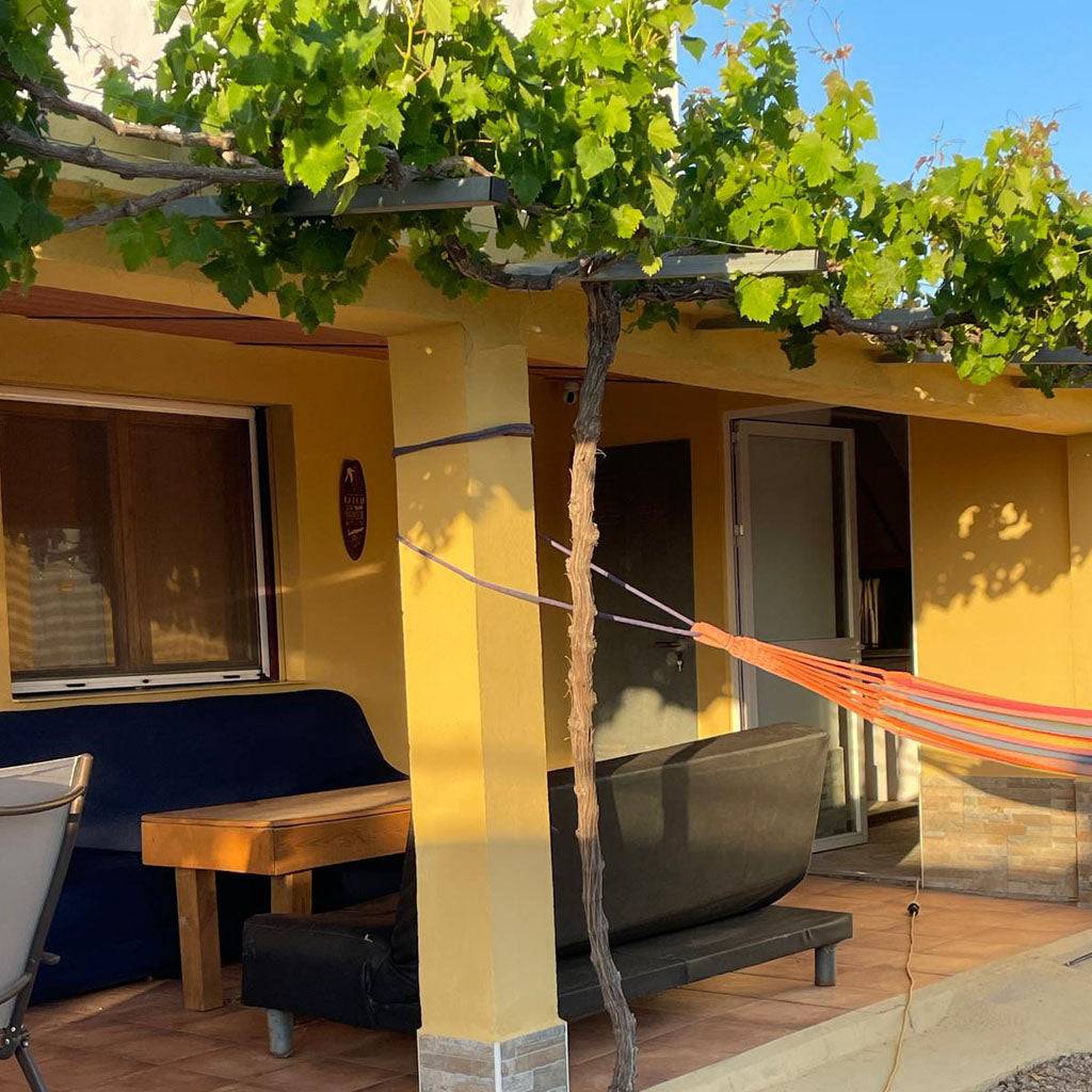 21 al 23 de Junio 2024 | Surcamp de Verano para Adultos en El Palmar - Carving Social Club