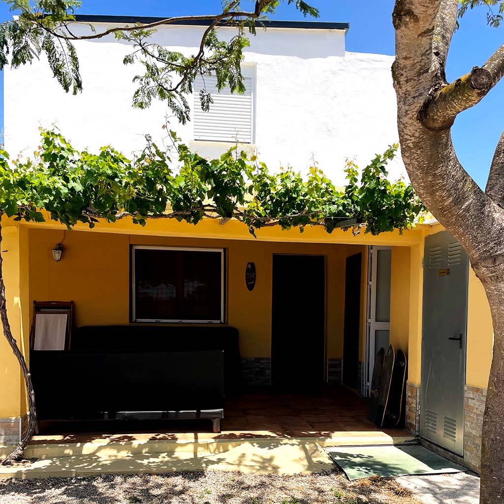 21 al 23 de Junio 2024 | Surcamp de Verano para Adultos en El Palmar - Carving Social Club