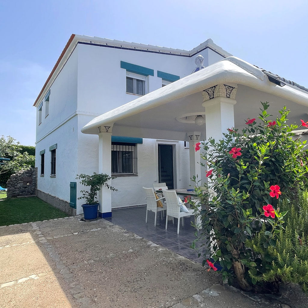 Surf & Lead – Your Unique Surf & Business Coaching Experience