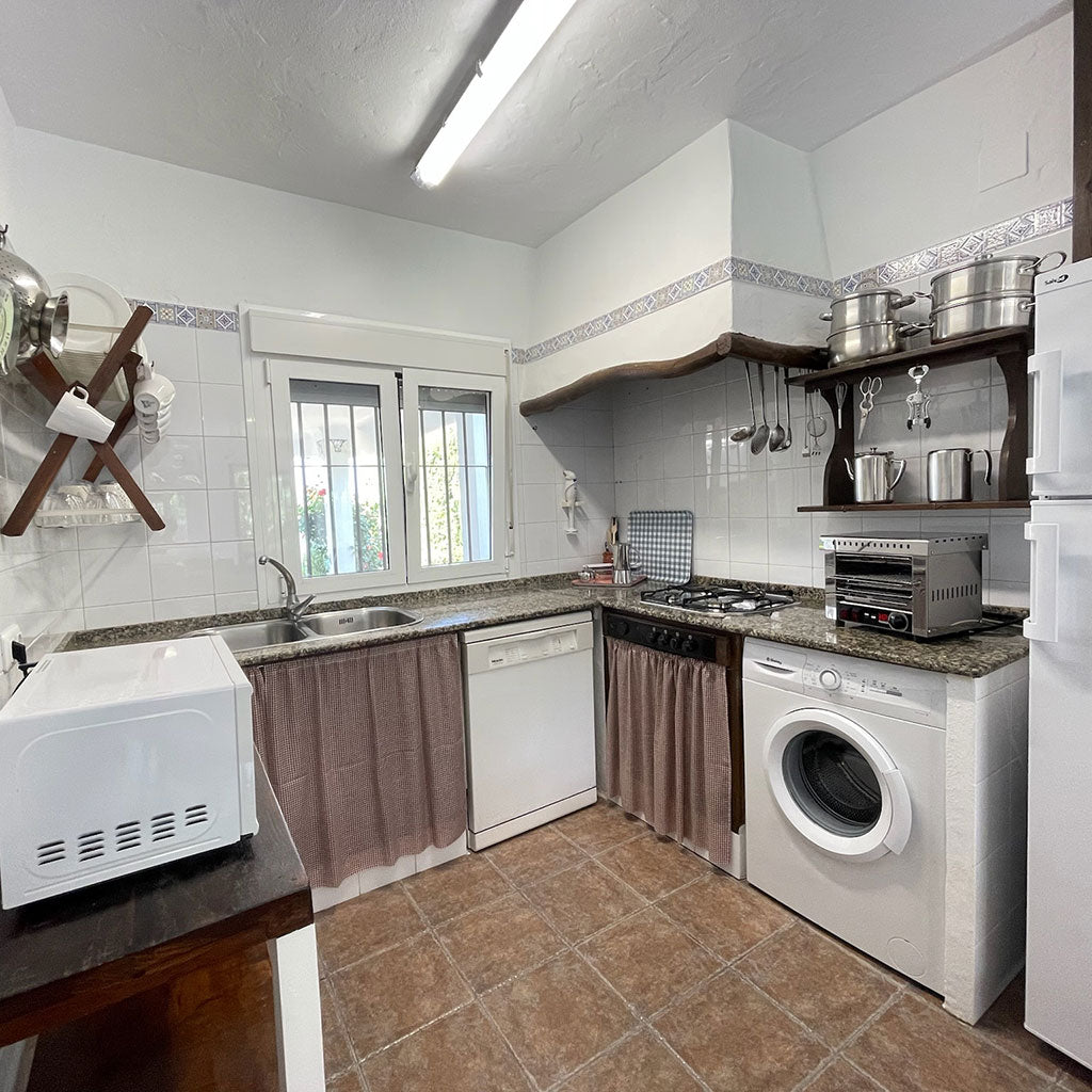 Surf & Lead – Your Unique Surf & Business Coaching Experience